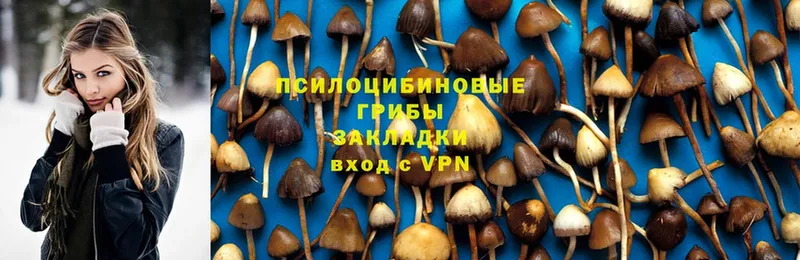 blacksprut зеркало  Еманжелинск  Псилоцибиновые грибы MAGIC MUSHROOMS  купить закладку 